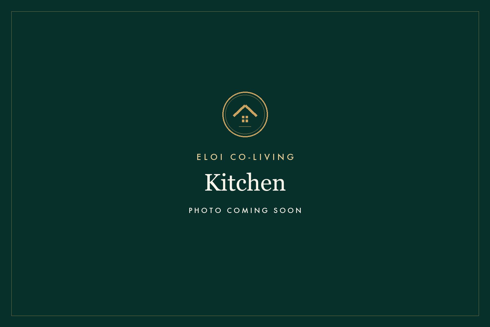 The open kitchen
